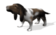 Animated dog